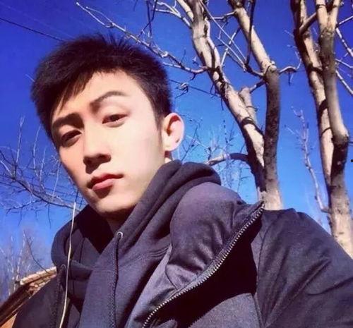 娱乐吃瓜君票房男演员